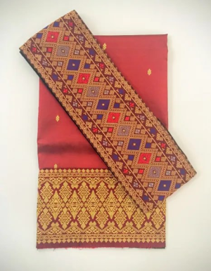 Regal Authentic Silk Women's Sinh Fabric